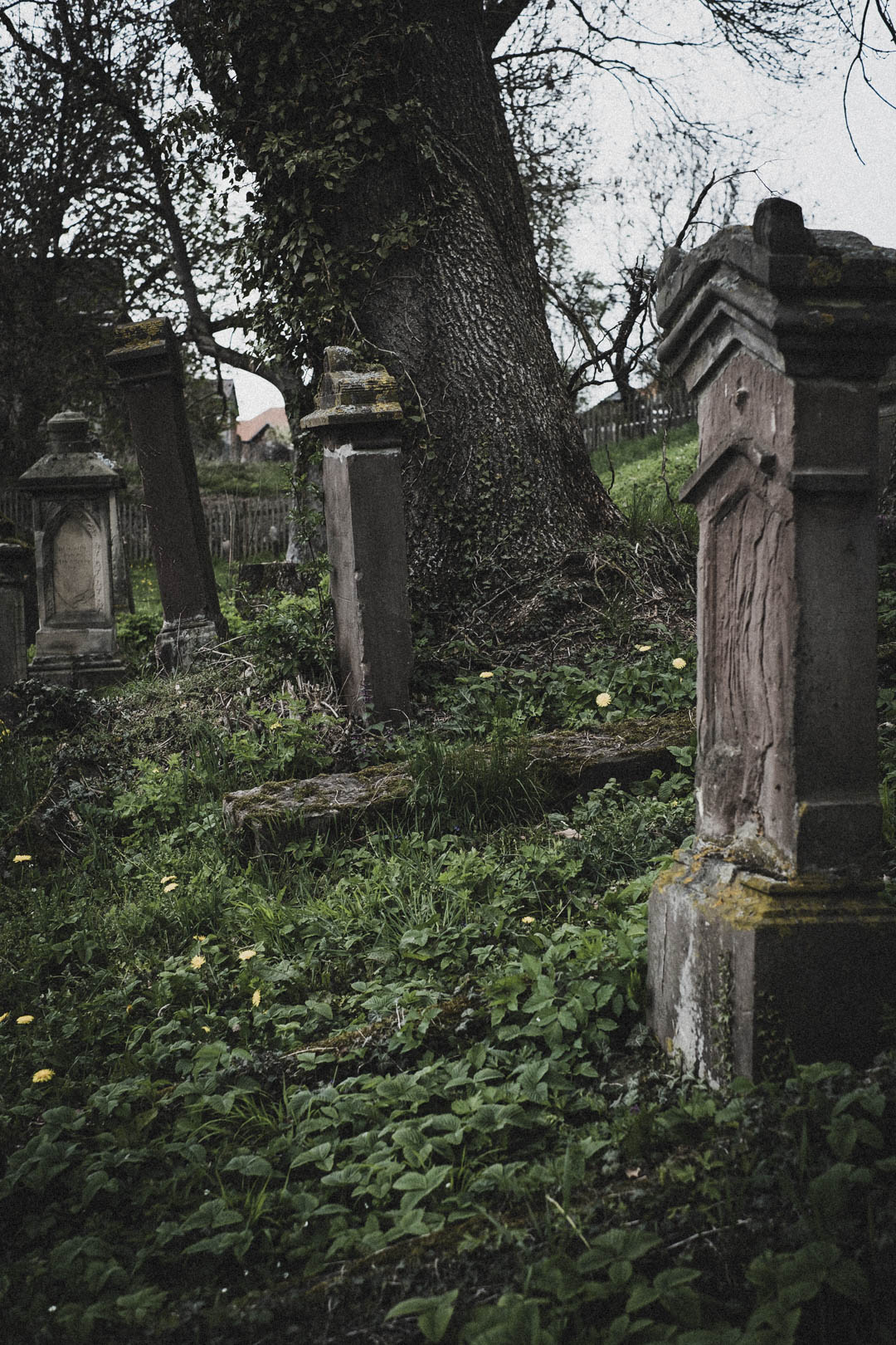 Borgholz, Jüdischer Friedhof